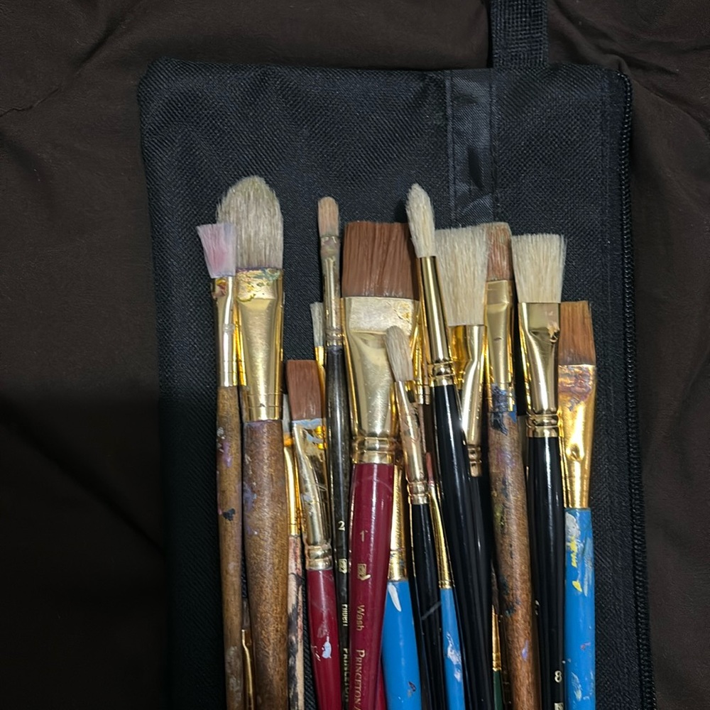 Selling a bunch of used paint brushes